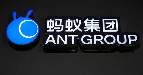 瑞云集团爆料事件视频大全,视频大全揭露惊人内幕